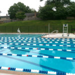 Chain Link Pool Fence