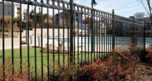 Pool Side Ornamental Iron Diplomat Fence