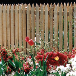 Garden Wood Picket Fence