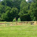 Welded Wire Wood Paddock Fence