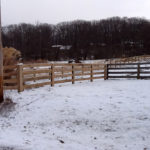 4 Board Paddock Fence in Winters