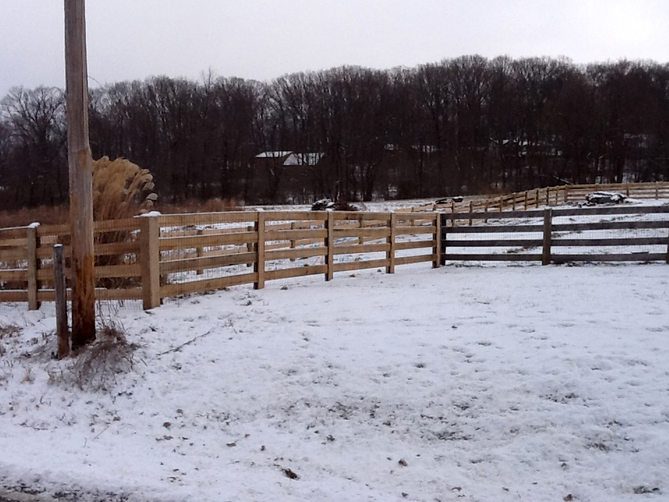 4 Board Paddock Fence in Winters