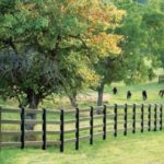 Horse Stud Farm Fence