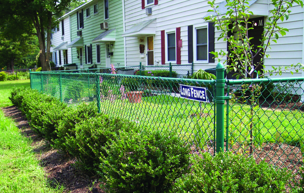 Green Chain Lin Fence in Backyard