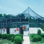 Baseball Batting Cage