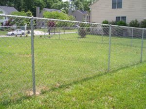 Galvanized Chain Link Fence In the Lawn