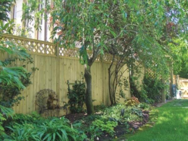 Privacy Fence with Lattice