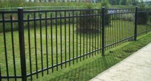 Ornamental Chancellor Iron Fence