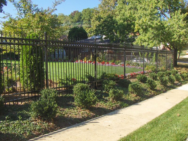 Ornamental Iron Sovereign Fence in Garden