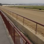 Safety Railing Race Course