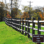 Wood Split Rail Near Park Walkway