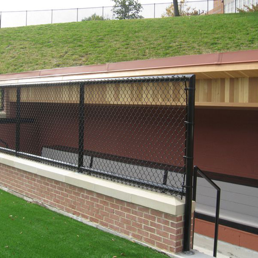 Chain Link Fence in Dugout