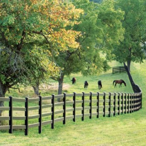 Paddock Fence in the Farm