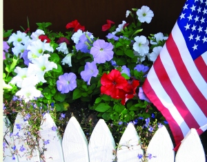 Happy 4th of July