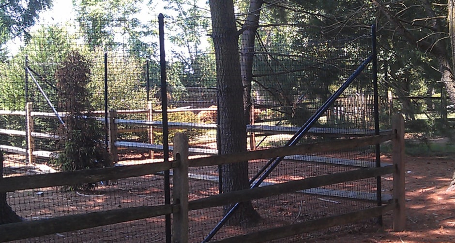Deer Fence