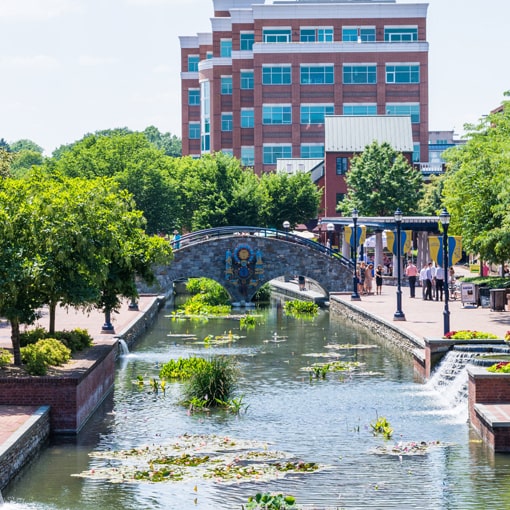 Frederick Skyline