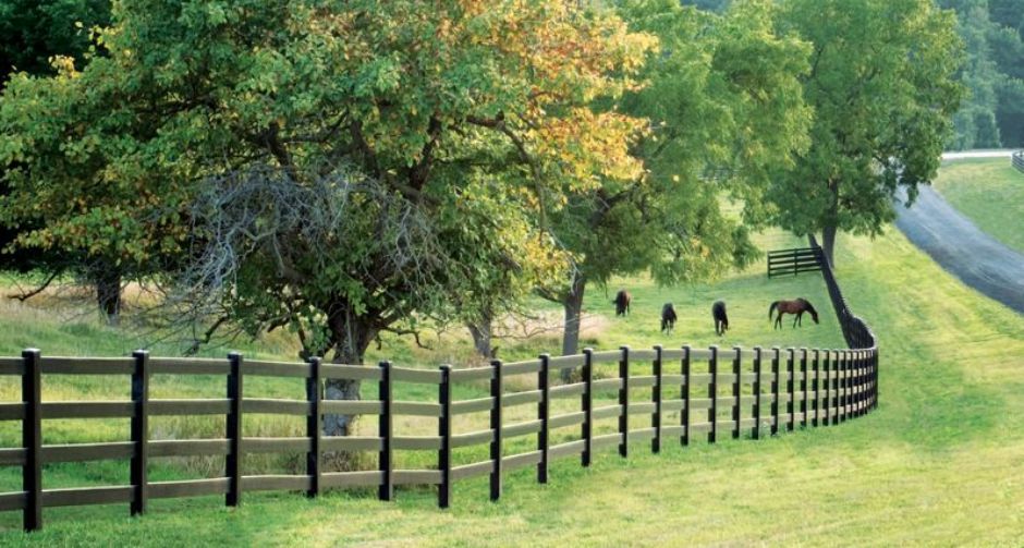 Live Stock Paddock Fence