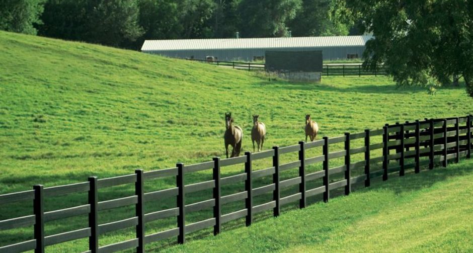Agricultural Farm Fence
