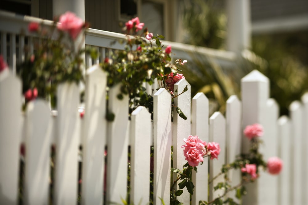 White picket fence