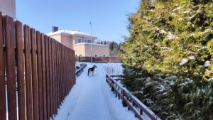 Fall Fence Checklist How to Prepare Wood Fence for winter long fence (1)